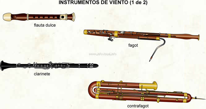 Instrumentos de viento (Diccionario visual)